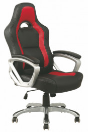 High Back Ergonomic Racing Office Chair (Fs-8728)