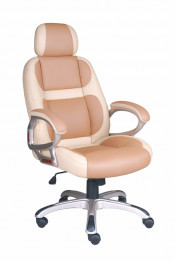 High Back Office Chair (FS-8710)
