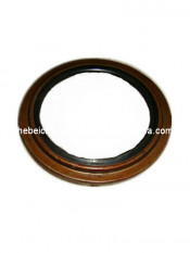 High Quality Differential Oil Seal for Chang an Bus