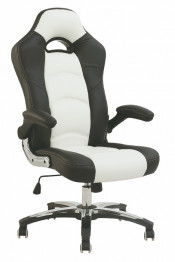 High Quality Executive Racing Office Chair (Fs-8726)