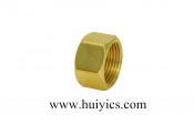 High-Quality Hex Nut with Copper (HY-J-C-126)