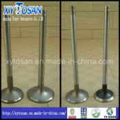 Hino Dq100 Engine Valve (OEM NO. IN 13711-1170 EX 13715-1320)