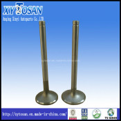 Hino Eh100 Engine Intake & Exhaust Valve