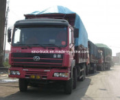Hongyan Dump Tipper / Dump Truck (CQ3253T8F39G324-2)