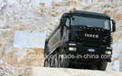 Hongyan Genlyon 6X4 420HP Dumping Truck (CQ3254HTG384)