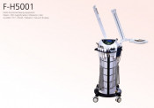 Hot Sale 9 in 1 Multifunction Beauty Equipment (F-H5001)