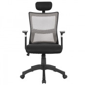 Hot Sale Modern Functional Mesh Office Chair (FS-1021H)