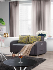 Hot Selling Folding Sofa Bed Home Furniture