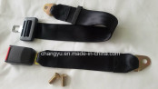 Hot Selling Safety Belt