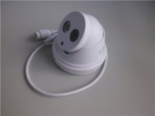 IR-Cut Outdoor 2PCS Array LED Detection Alarm IP Camera