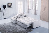 Indonesia Fabric Furniture Sofa Bed