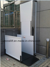 Indoor Electric Lift/Indoor Home Electric Elevator