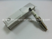 Iridium Ngk Spark Plug for BMW (12120037244)