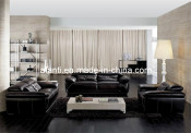 Italian Popular Genuine Leather Sofa (JY-1023)