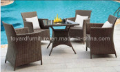 Leisure Outdoor Chair-Rattan Dining Set-Garden/Hotel/Patio Furniture