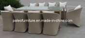 Leisure Outdoor Wicker Furniture Garden Patio Rattan Dining Table and Chair (PAD-3316)