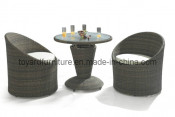 Leisure Rattan Chair and Table for Outdoor/Patio/Garden (D512&S212)