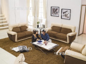 Living Room Furniture (702#)