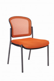 Low Back Executive Traning Meeting Office Mesh Chair (FS-3120)