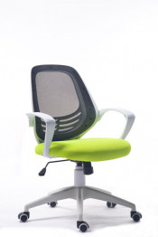 Low Back Office Traning Chair Meeting Mesh Chair (FS-1012)