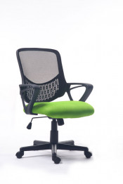 Low Back Office Traning Chair Meeting Mesh Chair (FS-1024)