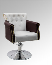 Luxury Makeup Popular Hair Salon Chair (MY-007-94)