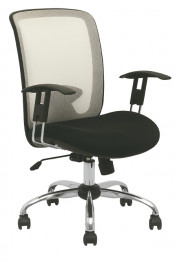 Luxus Low Back Office Traning Chair Meeting Mesh Chair (FS-81)