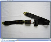 Manual Seat Belts