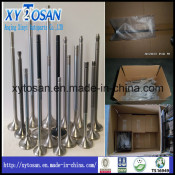 Marine Engine Valve & Valve Seat for All Models (MAN)
