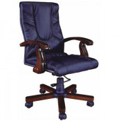 Medium Back Manager Boss Swivel Executive Office Chair (Fs-B624)