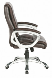 Middle Back PU Lether Swivel Executive Office Chair (Fs-8711b)