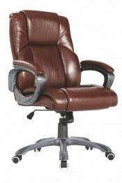 Middle Back PU Lether Swivel Executive Office Chair (Fs-8713b)