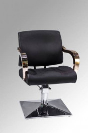 Modern Design and Cheap Styling Chair (MY-007-77)