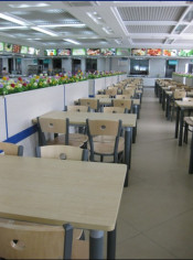 Modern Dining Table and Chair