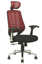 Modern Ergonomic High Back Director Mesh Chair with Headrest (Fs-801)