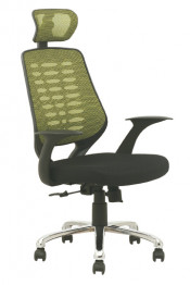 Modern Ergonomic High Back Director Mesh Chair with Headrest Fs-802