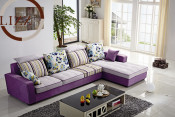 Modern Furiniture Sofa (L. B1035)
