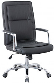 Modern Leather Executive Office Chairs (FS-8211)