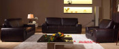 Modern Living Room/Home Furniture Sectional Leather Sofa (N822)