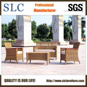 Modern Rattan Sofa/Garden Sofa Set Design/American Style Sofa Set (SC-B1002)