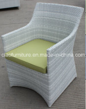 Modern Relax Outdoor Furniture Rattan Chair (FC002)