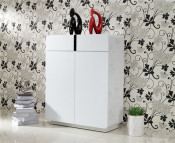 Modern Shoe Case Shoe Cabinet