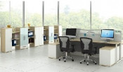 Modern Style Premium Staff Partition Workstations Office Desk (PS-LNPS-04)