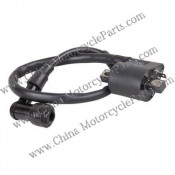 Motorcycle Ignition Coil for Wuyang-150