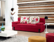 Multifunctional Sofa Bed for Home
