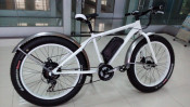 New 250W 36V MTB Hummer Electric Bicycle