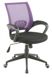 New Desigin Low Back Mesh Chair Fs-806
