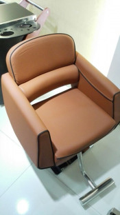 Newest Delicate Hydraulic Pump Styling Chair (MY-008-02)