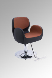 Newest Salon Furniture Salon Chair (MY-007-97)
