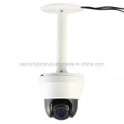 OEM IR 35m 540tvl PTZ CCD Camera (BQL/HeZ89-10)